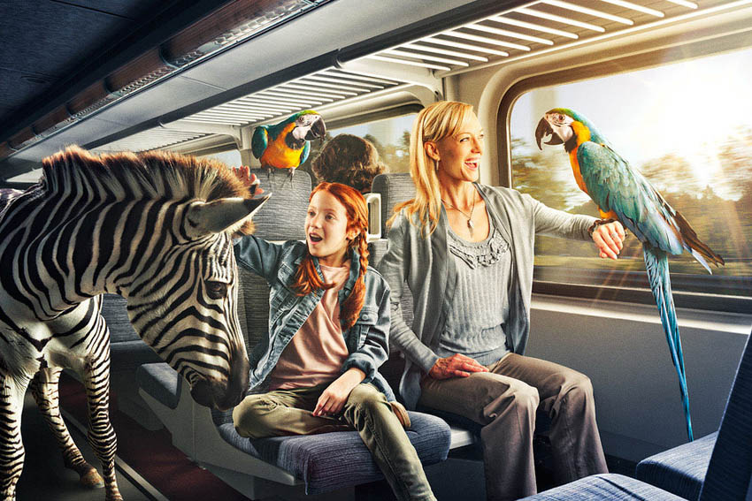 cc攻击免费网页版